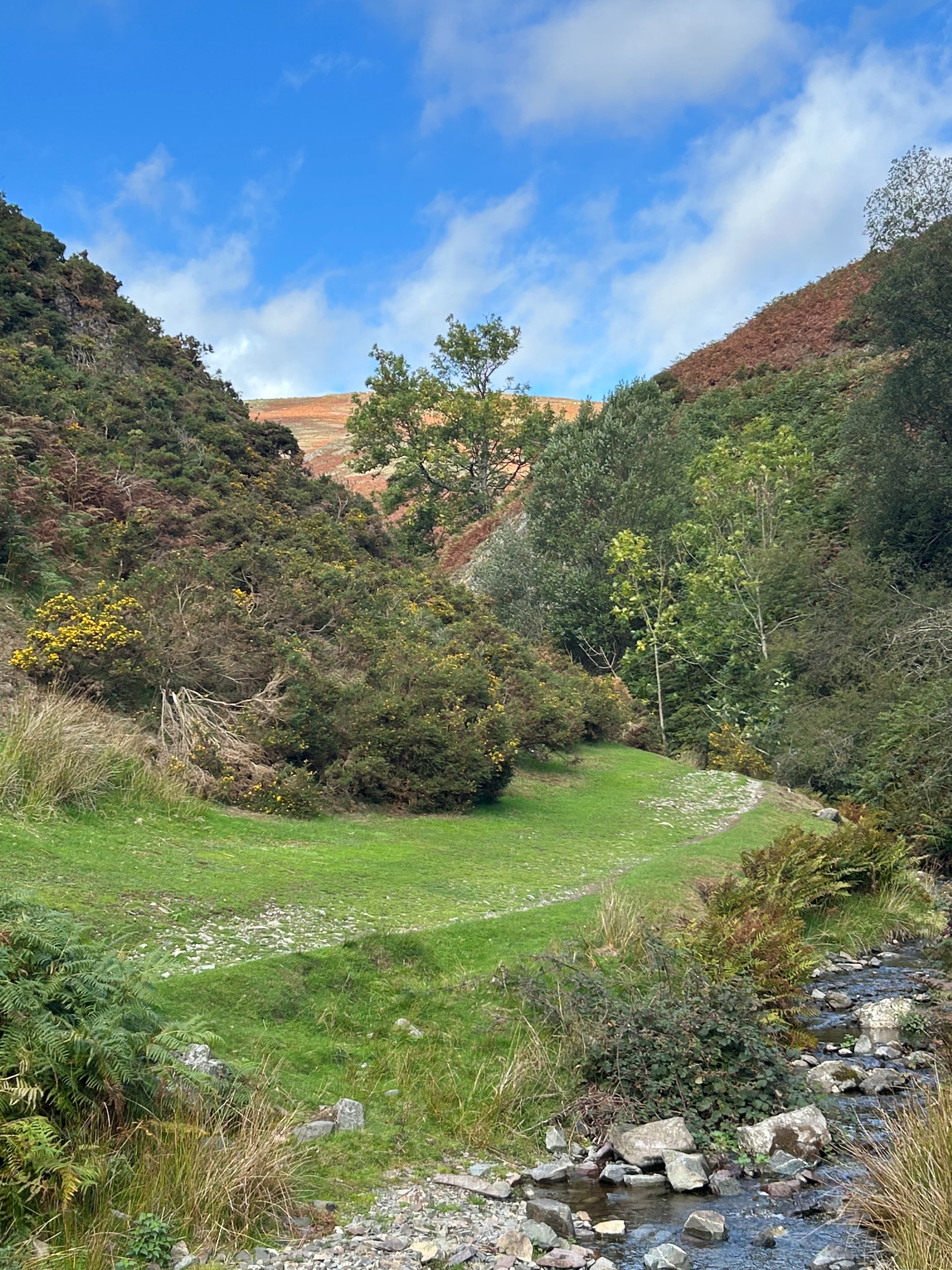 Solitude! Ashes Hollow on a gorgeous day! 

#solitude #bluesky #shropshirehills #mindful #hike 

@myndhousebnb